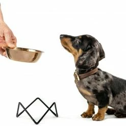 Bendo Lux Cat Bowls - Mix 'n' Match