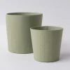 Tree Stripes Pty Ltd Pots & Hanging Baskets Conical Pot Dotty - Sage Green