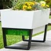 GLOWPEAR PTY LTD Urban Garden Outdoor Living 1 GLOWPEAR PTY LTD Urban Garden Outdoor Living