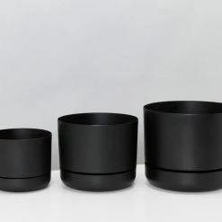 Mr Kitly Pot Clusters - 3 Different Sizes